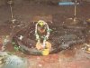 श्री घृष्णेश्वर ज्योतिर्लिंग