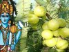 अक्षय या आंवला नवमी