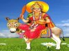 शीतला अष्टमी व्रत
