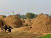 ख — सपनों का मतलब और उनका फल