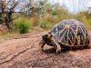 क — सपनों का मतलब और उनका फल