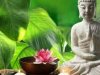 जीवन में सुख समृद्धि चाहते हैं तो अपनाइए ये आसान फेंगशुई टिप्स, चमक उठेगी आपकी किस्मत