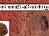 एकाक्षी नारियल को पूजने का मंत्र
