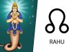 श्री राहु कवचं