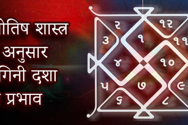 योगिनी दशा फल - धान्या