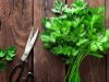 अजमोद (Parsley) के फायदे और नुकसान