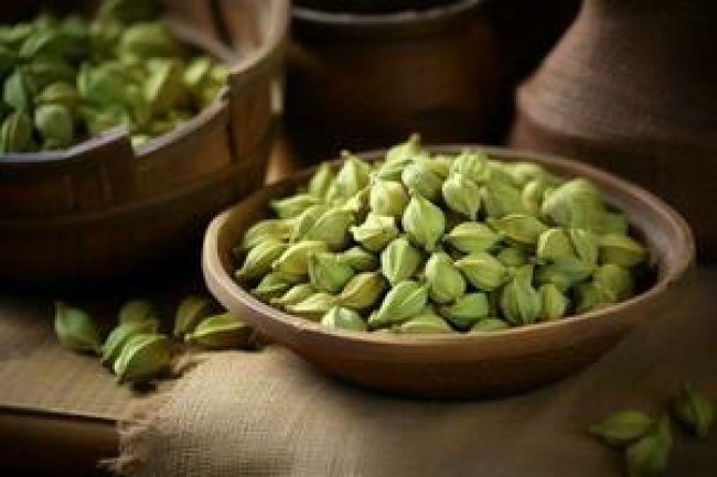 आयुर्वेद की अमृत जड़ीबूटी — रोज खाएं इलायची