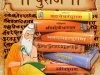 पुराण-साहित्य: भारतीय संस्कृति का विश्वकोष